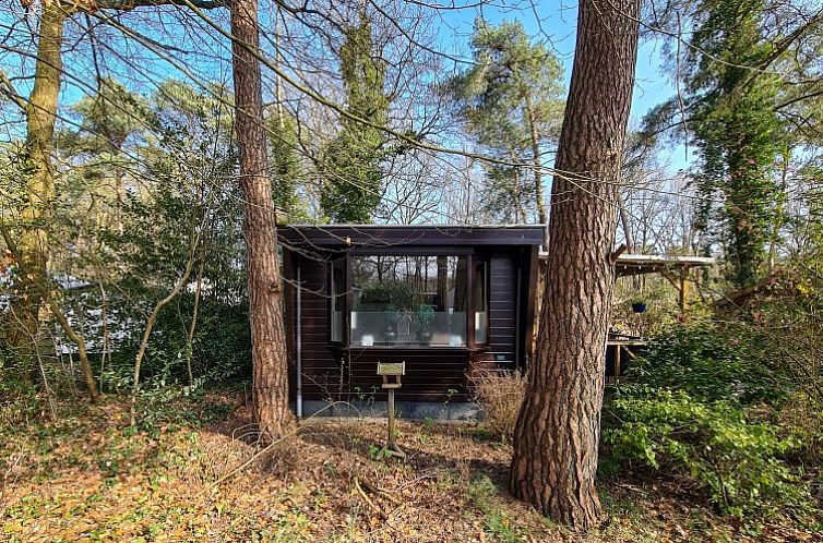 Chalet Boslust in IJhorst offers a rustic vacation home experience amidst nature in Northwest Overijssel.