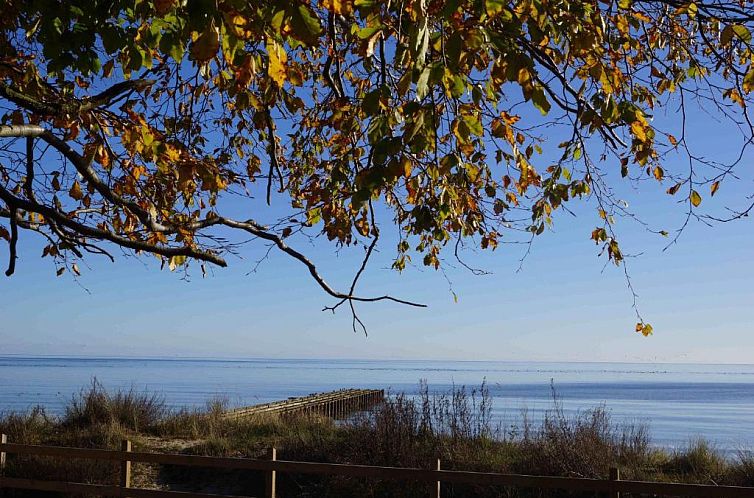 Ystad Camping