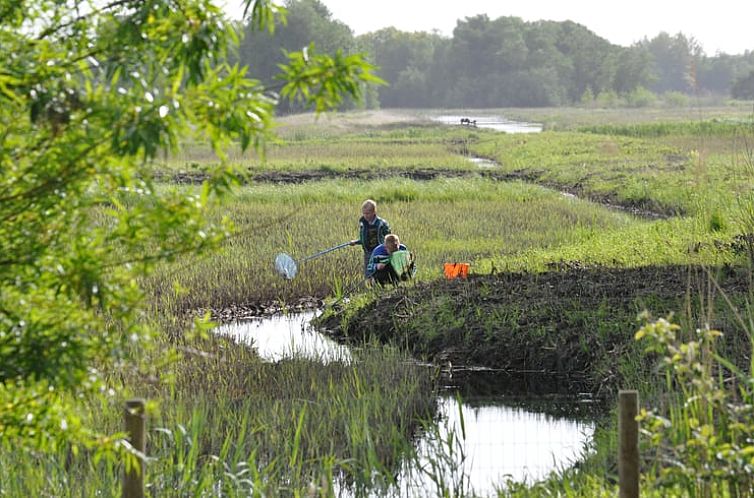 Huisje in Ossenzijl