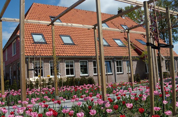 Bloeiende tulpen voor vakantiehuis OV635 in Blokzijl, Noordwest Overijssel.