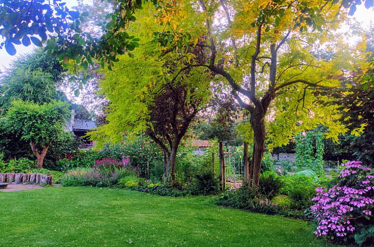 Vakantiehuisje in Zalk