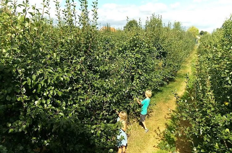 Vakantiehuisje in Tienhoven a/d Lek