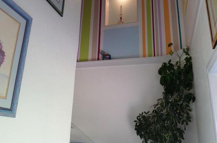 Skogis Bed & Breakfast