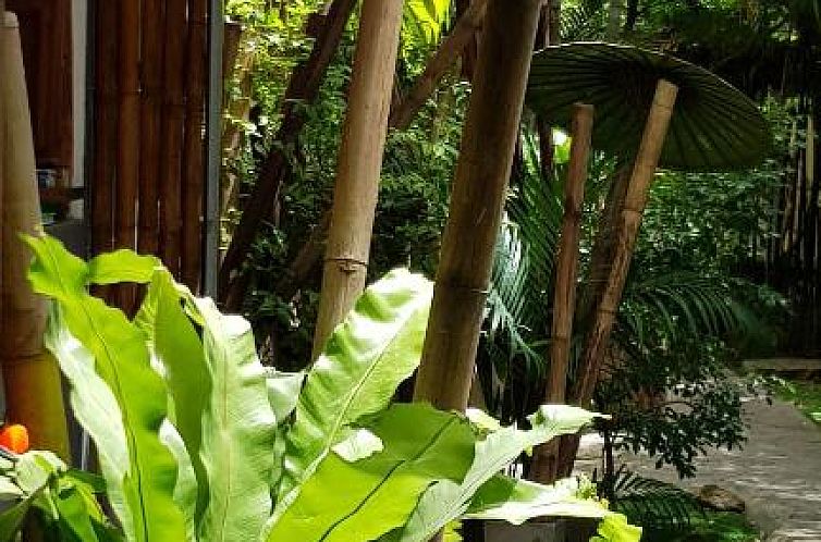 Sairee Sairee Guesthouse