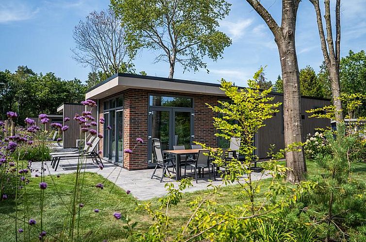 Berkenhof 6 personen vakantiehuis met terras in Lage Vuursche, Utrechtse Heuvelrug, omgeven door natuur.