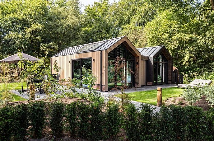 Lodge Royal Eco 6 personen Wellness met veranda in Lage Vuursche, Utrechtse Heuvelrug, omgeven door natuur.