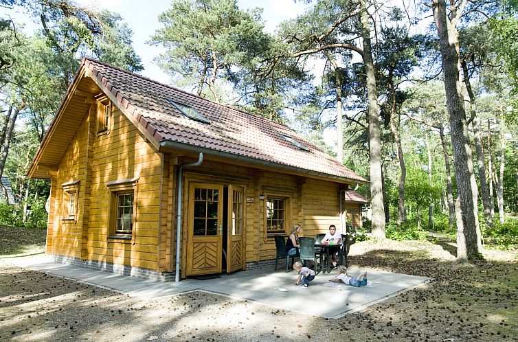 Vacation home Sparrendaal in Doorn, Utrecht Hill Ridge, surrounded by wooded nature with a cozy terrace.