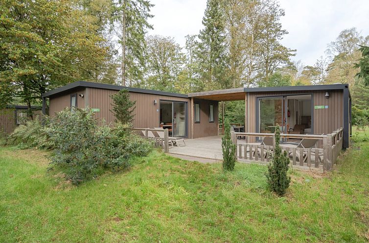 Duo chalet Lunenburg in Doorn offers a spacious terrace overlooking the Utrechtse Heuvelrug.