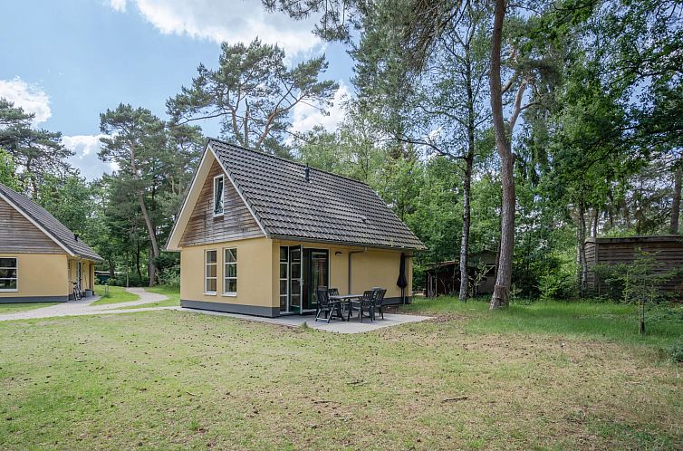 Ferienhaus Beukenrode in Doorn, Utrechtse Heuvelrug, bietet ein rustikales Ferienhaus mit einer Terrasse inmitten der gruenen Natur.