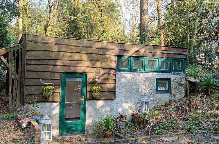 Vakantiehuis in Doorn omgeven door groene natuur in de Utrechtse Heuvelrug, Utrecht.