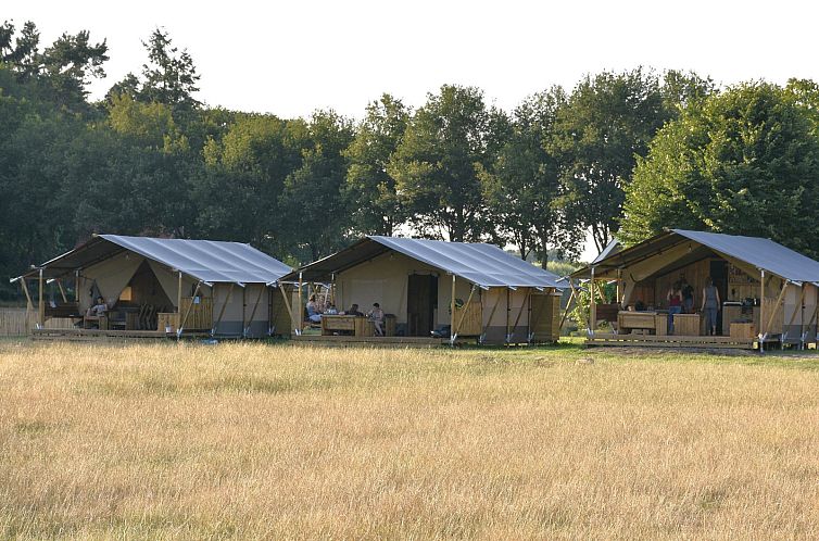 Verblijf 571112 - Tenthuis Utrechtse Heuvelrug - Safaritent + sanitair