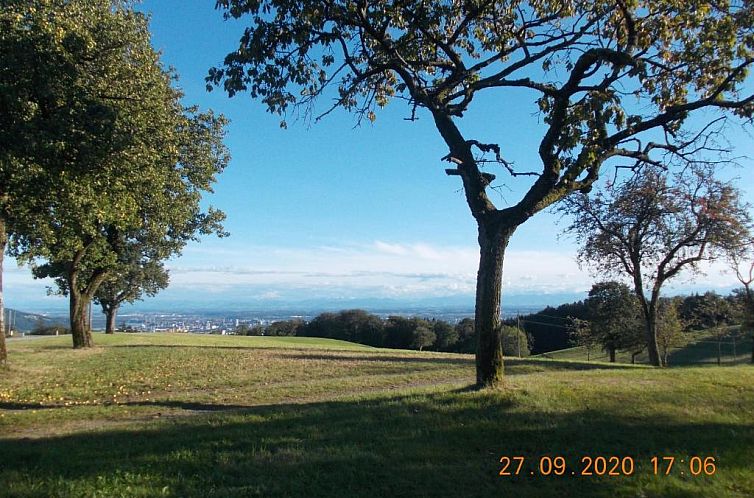 Apartment Sternentor