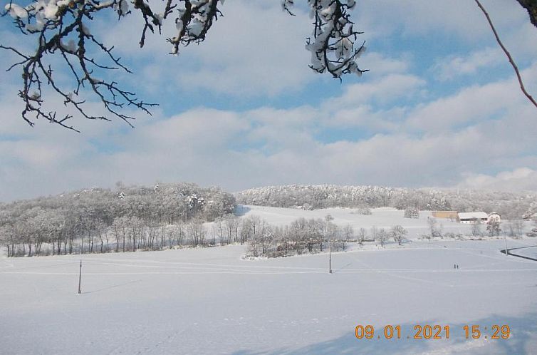 Apartment Sternentor