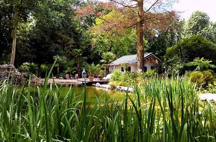 Huisje in Woudenberg omgeven door weelderige natuur op de Utrechtse Heuvelrug in Utrecht.