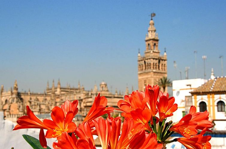 Hotel Boutique Casas de Santa Cruz