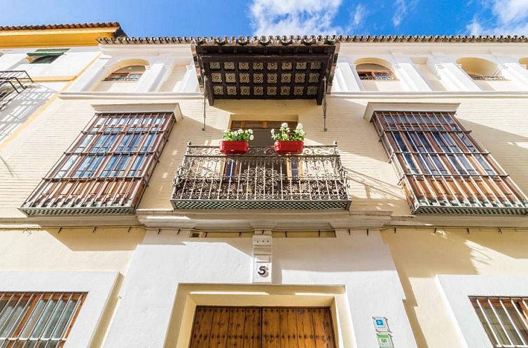 Guest house 57141156 - Apartment Andalusia - La Casa del Conde de Gelves Apartments