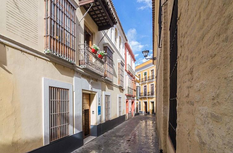 La Casa del Conde de Gelves Apartments