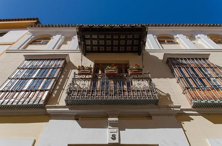 La Casa del Conde de Gelves Apartments