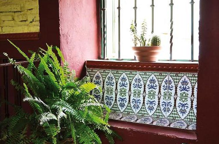 PENSION VERGARA , Sevilla