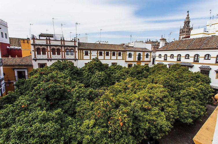 Hotel Boutique Elvira Plaza