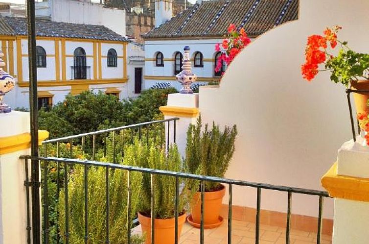 Hotel Boutique Elvira Plaza