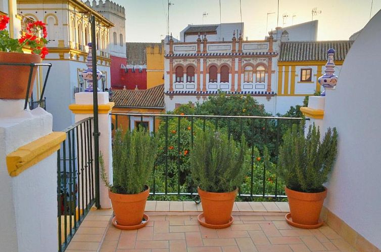 Hotel Boutique Elvira Plaza