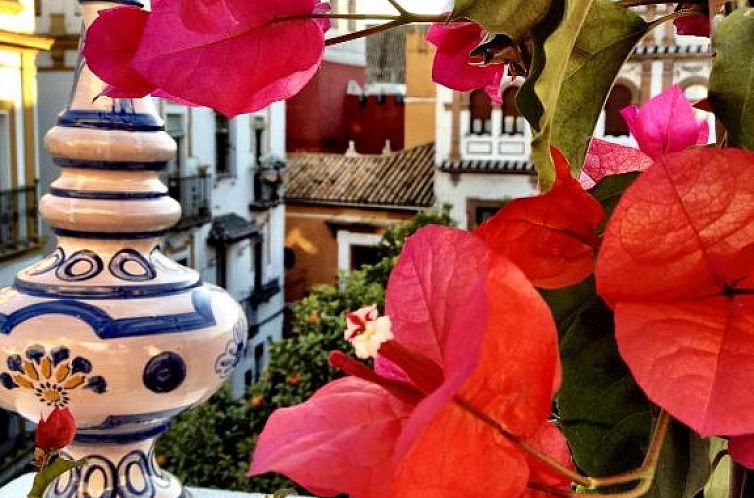 Hotel Boutique Elvira Plaza