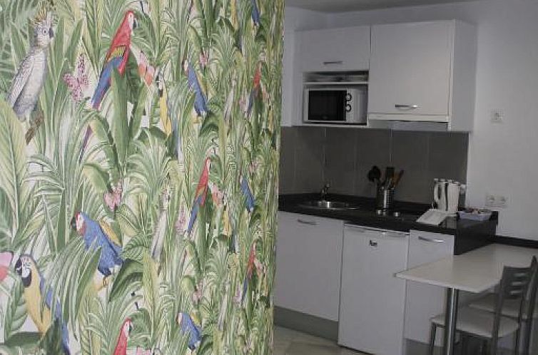 Apartamentos Avenida