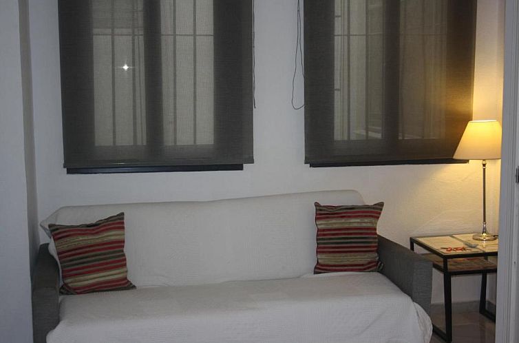 Apartamentos Avenida