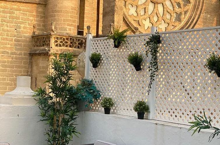 Catedral Boutique