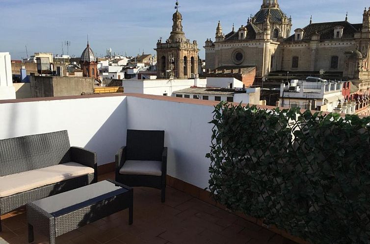 Apartamentos Cuna 41