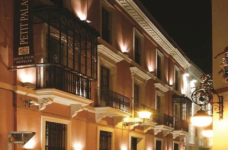 Petit Palace Marques Santa Ana