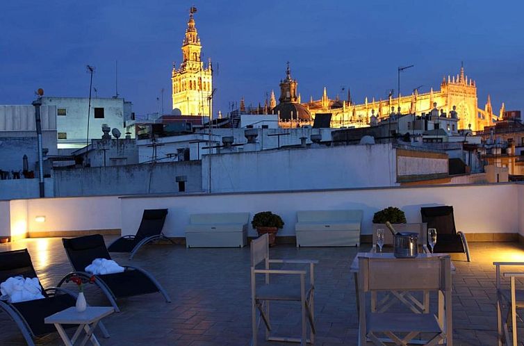 Petit Palace Marques Santa Ana