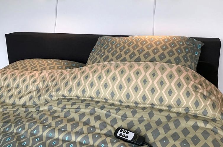 Vakantiehuis in Cothen