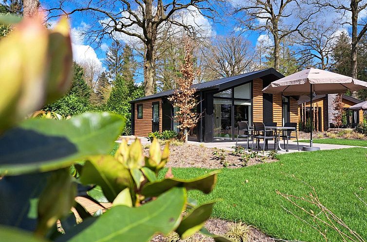 Hackfort 4 vacation home in Maarn, Utrecht Hill Ridge with sunny terrace and green surroundings.