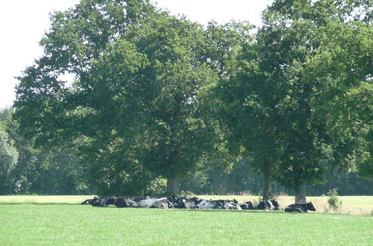 Vakantiehuis in Achterveld