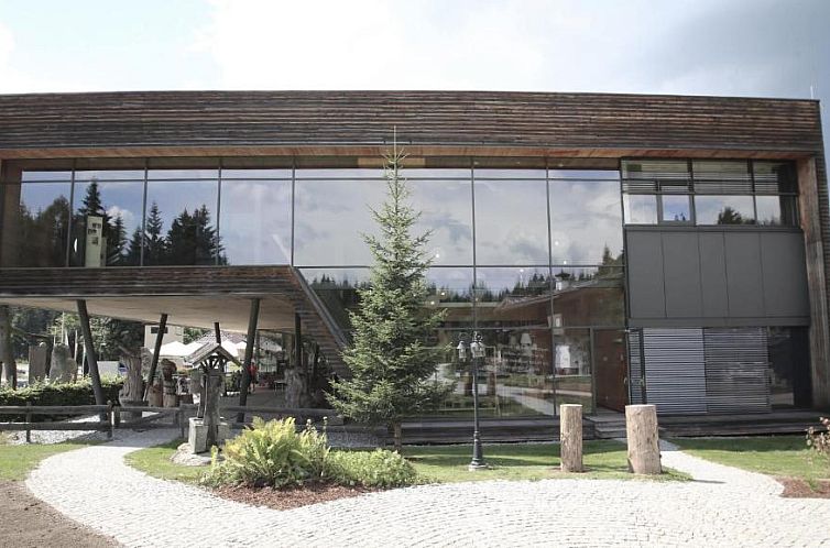 INNs HOLZ