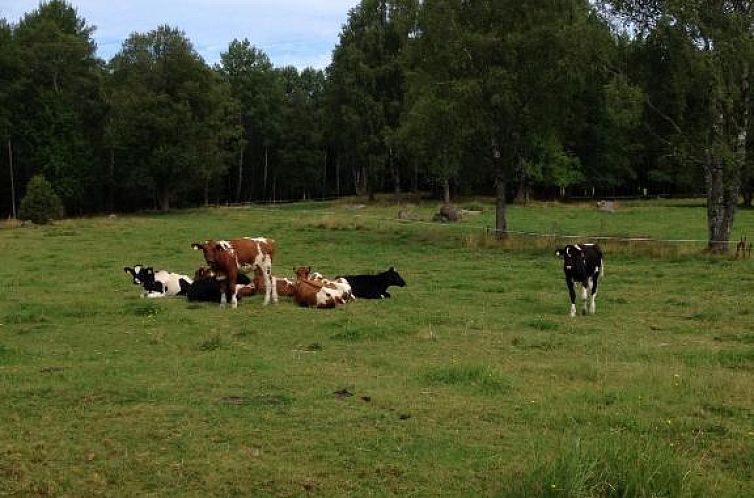 Stuga Linnebråten