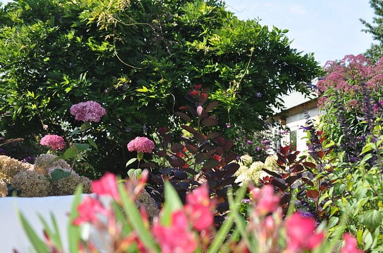 Vakantiehuisje in Groenekan, Gemeente De Bilt