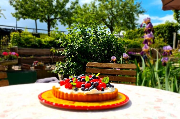 Vakantiehuisje in Lopik