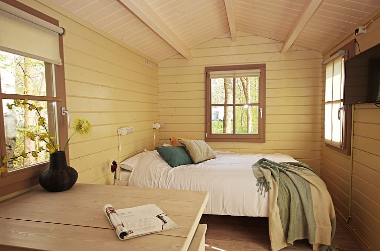 Kampeerchalet het Gangboord