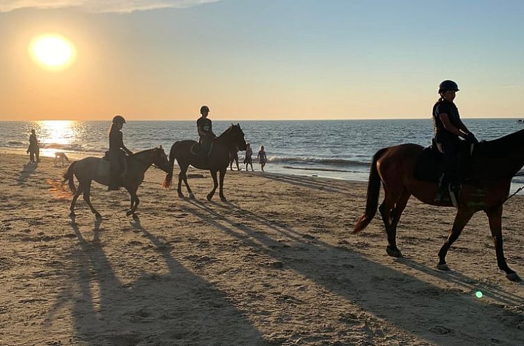 Vakantiehuis in Kamperland