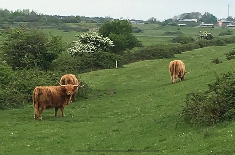 Vakantiehuis in Kamperland