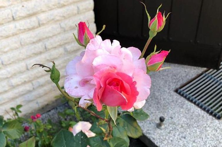 Anitas B&B Stockholm/Vällingby