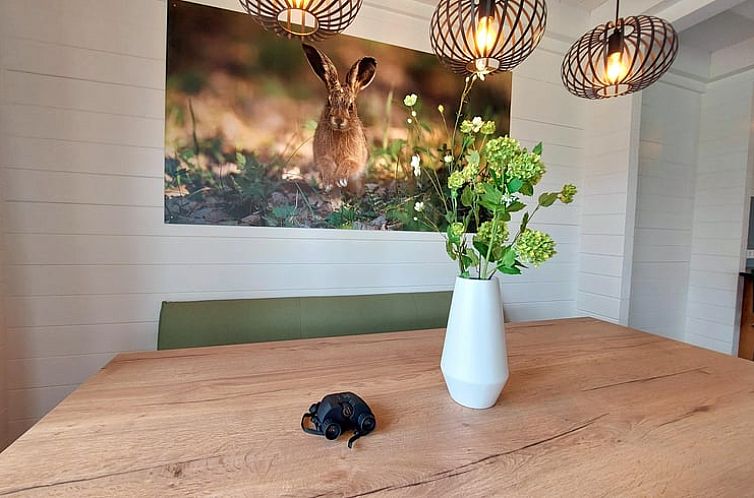 Vakantiehuis in Burgh-Haamstede