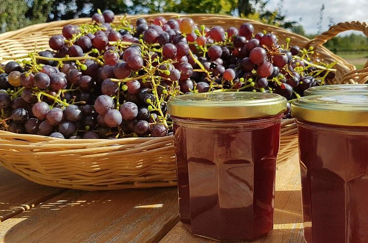 VZ890 Vakantiehuis in Renesse