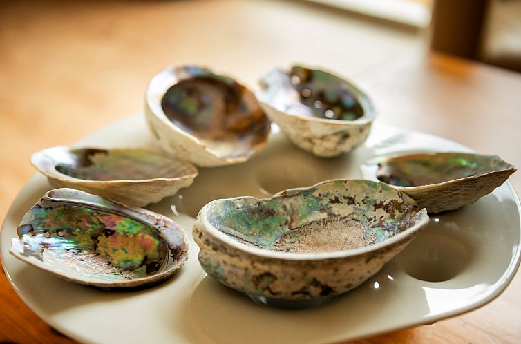 Vakantiebungalow Beachpark 57, Park 2