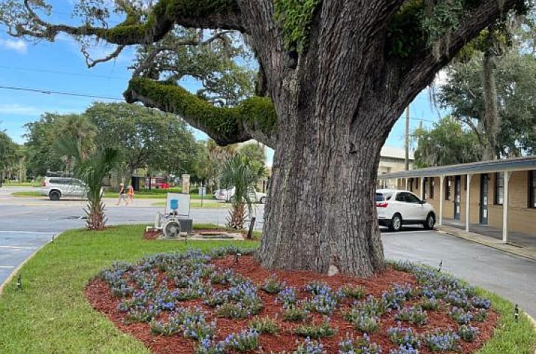 Verblijf 6025439 - Vakantie appartement Florida - Scottish Inn - Saint Augustine