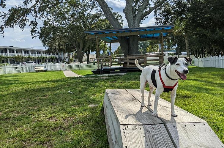 Southern Oaks Inn - Saint Augustine