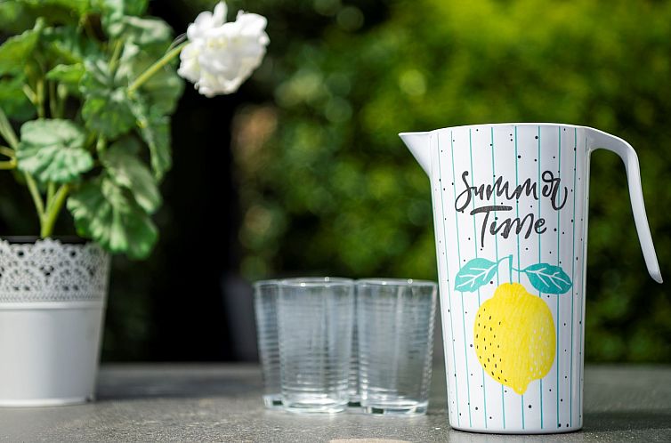 Vakantiehuis Westerduyn 2, "Piet Hein"